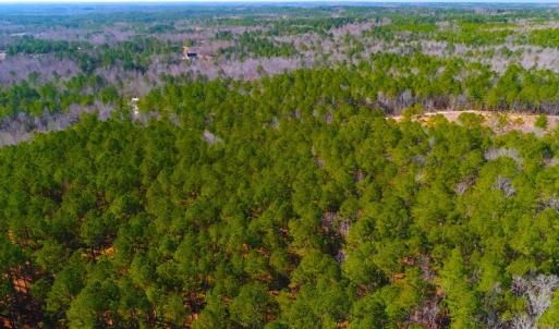 Photo #3 of SOLD property in Off Dragonfly Lane, Sanford, NC 10.1 acres