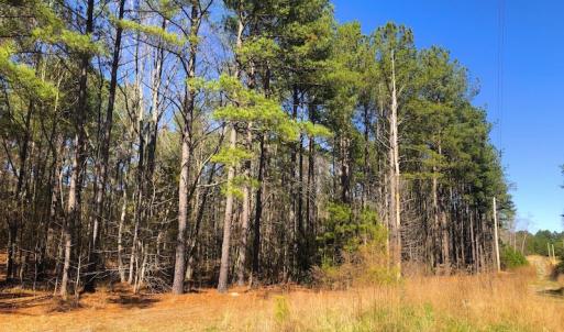 Photo #4 of SOLD property in Off Dragonfly Lane, Sanford, NC 10.1 acres
