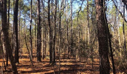 Photo #7 of SOLD property in Off Dragonfly Lane, Sanford, NC 10.1 acres