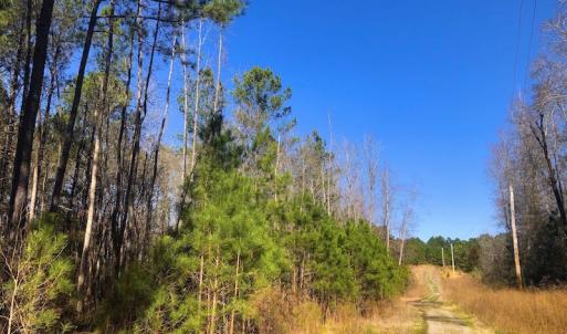 Photo #9 of SOLD property in Off Dragonfly Lane, Sanford, NC 10.1 acres