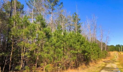 Photo #10 of SOLD property in Off Dragonfly Lane, Sanford, NC 10.1 acres