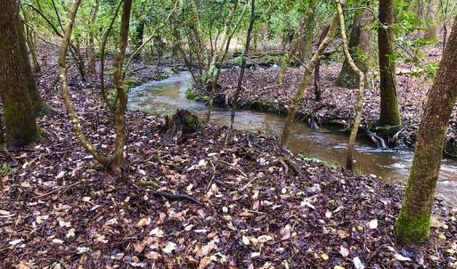 Photo #11 of SOLD property in Off Dragonfly Lane, Sanford, NC 10.1 acres