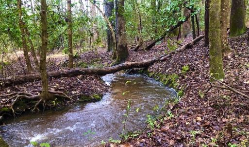 Photo #12 of SOLD property in Off Dragonfly Lane, Sanford, NC 10.1 acres