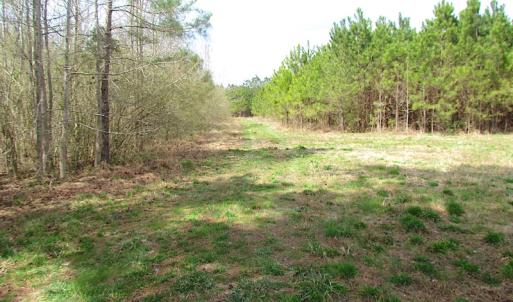 Photo #3 of SOLD property in Off Jackson Rd, Suffolk, VA 18.0 acres