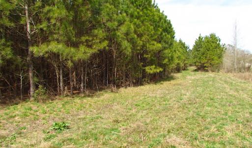 Photo #4 of SOLD property in Off Jackson Rd, Suffolk, VA 18.0 acres