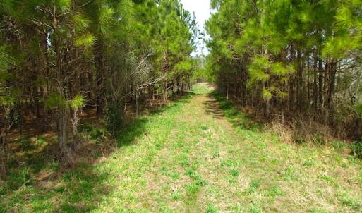 Photo #5 of SOLD property in Off Jackson Rd, Suffolk, VA 18.0 acres
