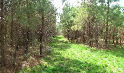 Photo #6 of SOLD property in Off Jackson Rd, Suffolk, VA 18.0 acres