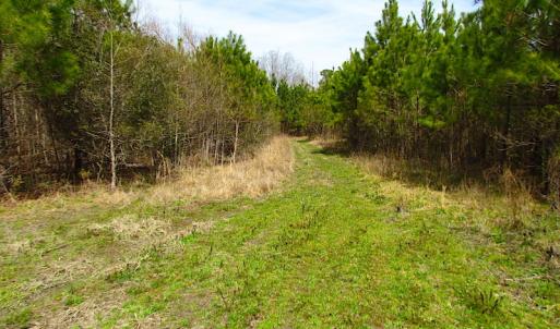 Photo #11 of SOLD property in Off Jackson Rd, Suffolk, VA 18.0 acres