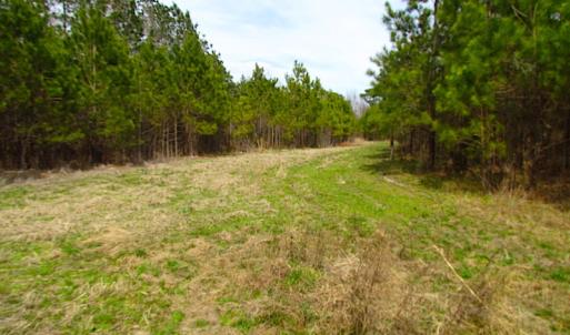 Photo #13 of SOLD property in Off Jackson Rd, Suffolk, VA 18.0 acres