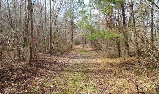 Photo #17 of SOLD property in Off Jackson Rd, Suffolk, VA 18.0 acres