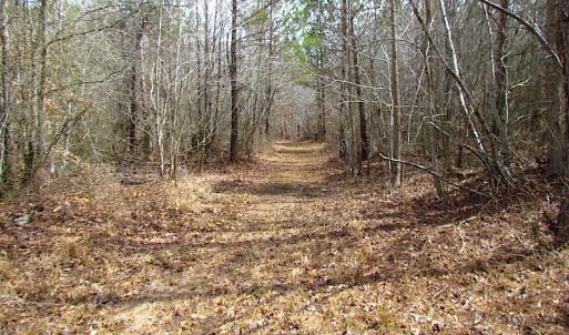 Photo #18 of SOLD property in Off Jackson Rd, Suffolk, VA 18.0 acres