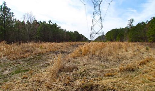 Photo #19 of SOLD property in Off Jackson Rd, Suffolk, VA 18.0 acres