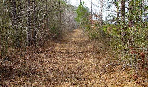 Photo #20 of SOLD property in Off Jackson Rd, Suffolk, VA 18.0 acres