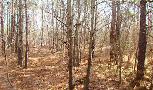 Photo #21 of SOLD property in Off Jackson Rd, Suffolk, VA 18.0 acres