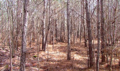 Photo #26 of SOLD property in Off Jackson Rd, Suffolk, VA 18.0 acres
