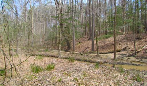 Photo #3 of Oak Tree Lane, Smithfield, VA 11.0 acres
