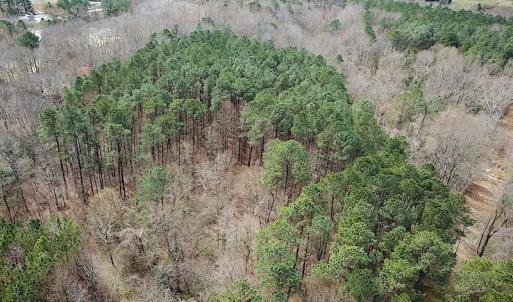 Photo #5 of Oak Tree Lane, Smithfield, VA 11.0 acres