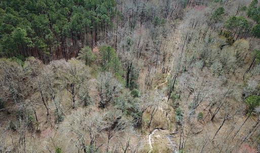Photo #7 of Oak Tree Lane, Smithfield, VA 11.0 acres