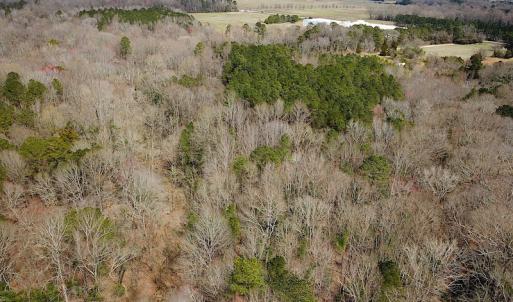 Photo #9 of Oak Tree Lane, Smithfield, VA 11.0 acres