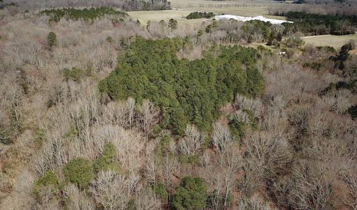 Photo #10 of Oak Tree Lane, Smithfield, VA 11.0 acres