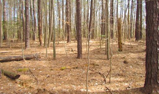 Photo #23 of Oak Tree Lane, Smithfield, VA 11.0 acres