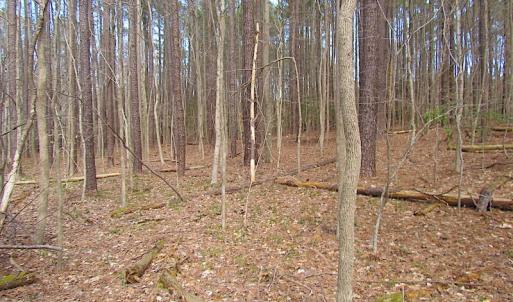 Photo #25 of Oak Tree Lane, Smithfield, VA 11.0 acres