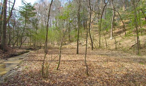 Photo #28 of Oak Tree Lane, Smithfield, VA 11.0 acres