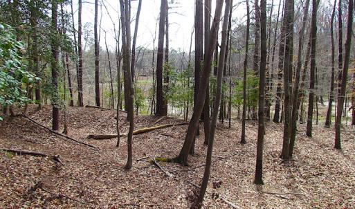 Photo #34 of Oak Tree Lane, Smithfield, VA 11.0 acres