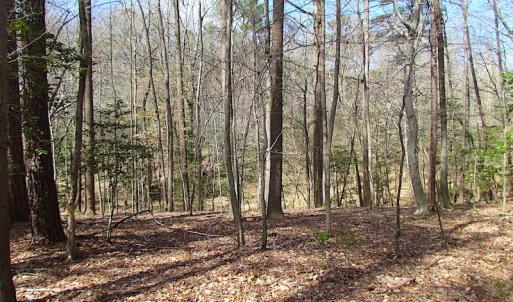 Photo #39 of Oak Tree Lane, Smithfield, VA 11.0 acres