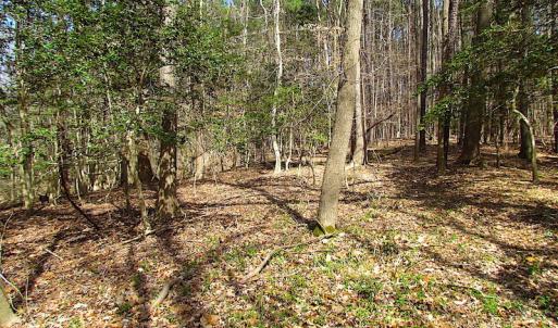 Photo #40 of Oak Tree Lane, Smithfield, VA 11.0 acres
