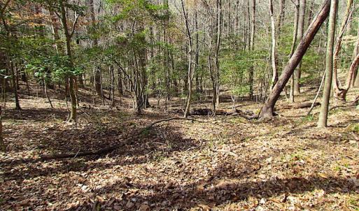Photo #42 of Oak Tree Lane, Smithfield, VA 11.0 acres