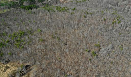 Photo #6 of SOLD property in 2245 Glenland Rd , Hurt, VA 65.0 acres