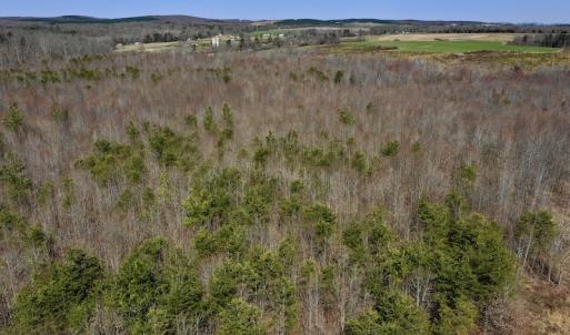 Photo #13 of SOLD property in 2245 Glenland Rd , Hurt, VA 65.0 acres