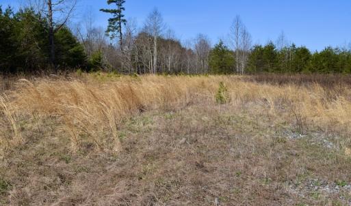 Photo #18 of SOLD property in 2245 Glenland Rd , Hurt, VA 65.0 acres