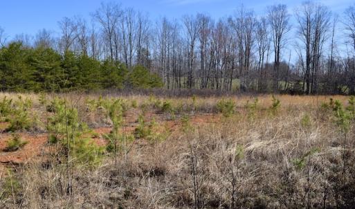 Photo #19 of SOLD property in 2245 Glenland Rd , Hurt, VA 65.0 acres