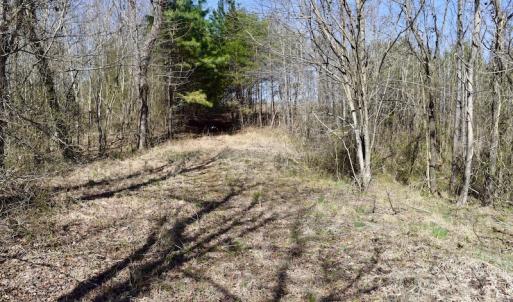 Photo #20 of SOLD property in 2245 Glenland Rd , Hurt, VA 65.0 acres