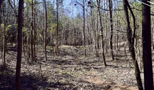 Photo #21 of SOLD property in 2245 Glenland Rd , Hurt, VA 65.0 acres