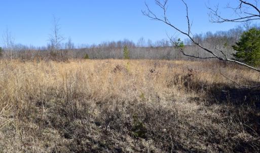 Photo #22 of SOLD property in 2245 Glenland Rd , Hurt, VA 65.0 acres