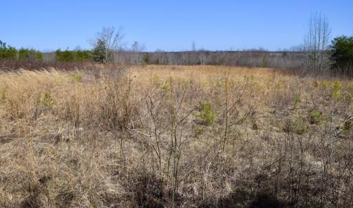 Photo #23 of SOLD property in 2245 Glenland Rd , Hurt, VA 65.0 acres