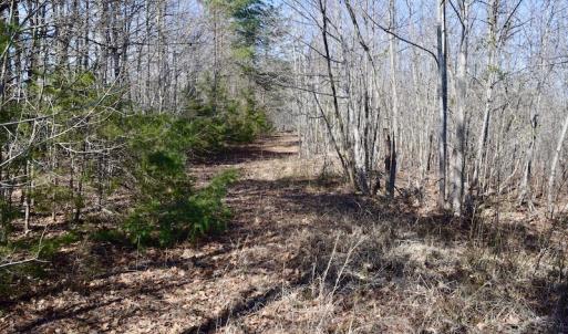 Photo #24 of SOLD property in 2245 Glenland Rd , Hurt, VA 65.0 acres