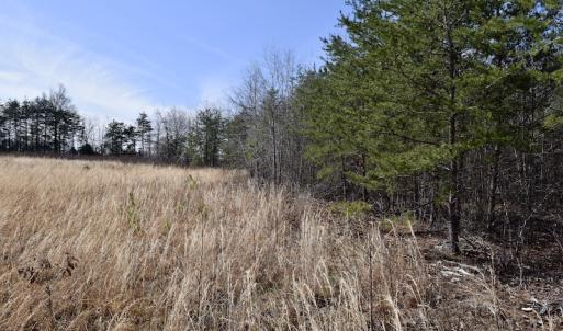 Photo #25 of SOLD property in 2245 Glenland Rd , Hurt, VA 65.0 acres