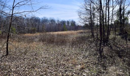 Photo #27 of SOLD property in 2245 Glenland Rd , Hurt, VA 65.0 acres