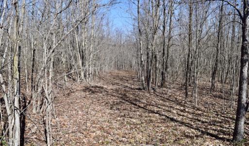 Photo #28 of SOLD property in 2245 Glenland Rd , Hurt, VA 65.0 acres