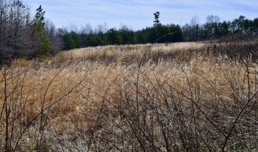 Photo #29 of SOLD property in 2245 Glenland Rd , Hurt, VA 65.0 acres