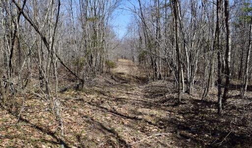 Photo #30 of SOLD property in 2245 Glenland Rd , Hurt, VA 65.0 acres