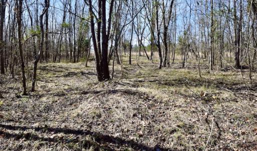 Photo #31 of SOLD property in 2245 Glenland Rd , Hurt, VA 65.0 acres