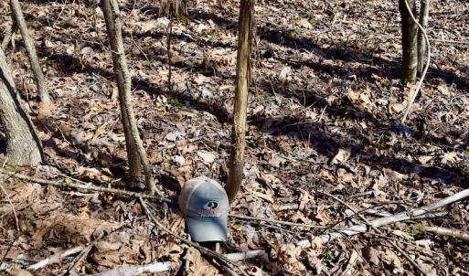 Photo #32 of SOLD property in 2245 Glenland Rd , Hurt, VA 65.0 acres