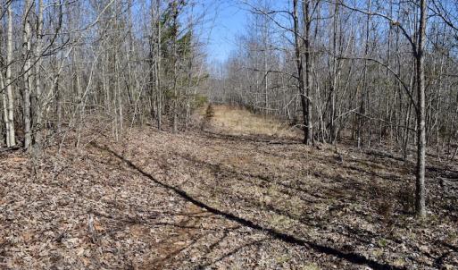 Photo #33 of SOLD property in 2245 Glenland Rd , Hurt, VA 65.0 acres