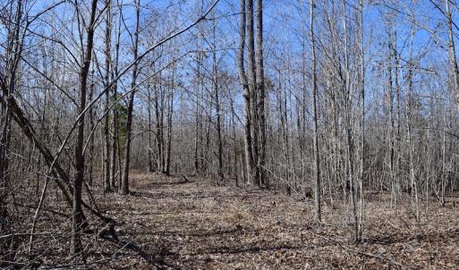 Photo #34 of SOLD property in 2245 Glenland Rd , Hurt, VA 65.0 acres
