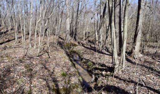 Photo #38 of SOLD property in 2245 Glenland Rd , Hurt, VA 65.0 acres